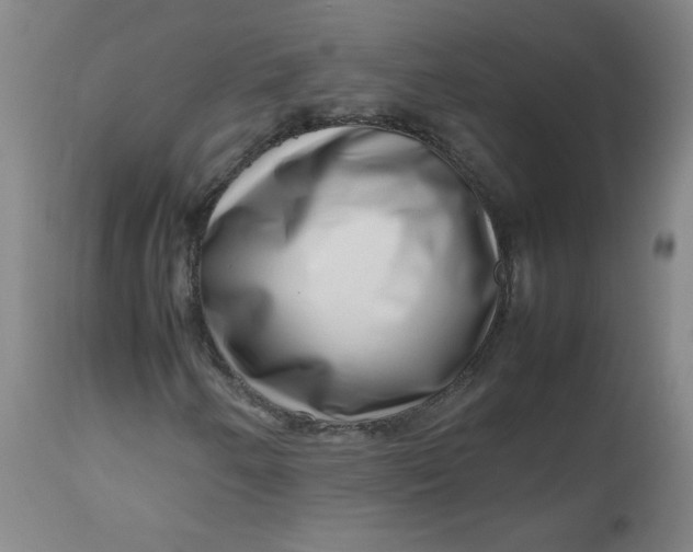 X0000112811250200909111251