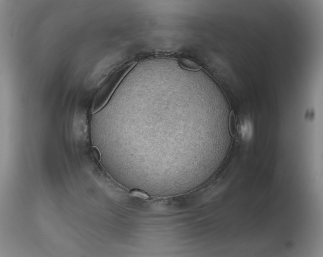 X0000112811252200909111251