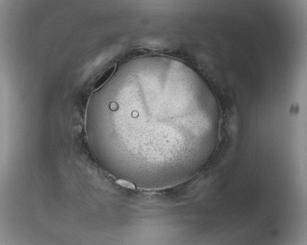 X0000112811253200909111251