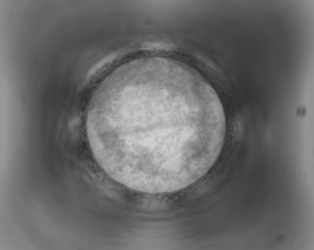 X0000112811254200909111251