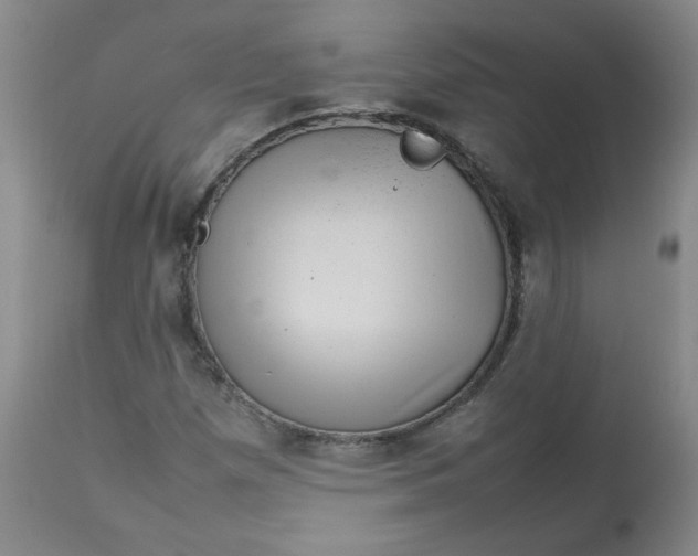 X0000112811257200909111251