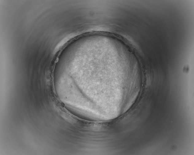 X0000112811266200909111251