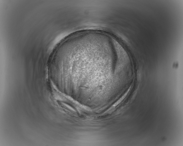 X0000112811267200909111251