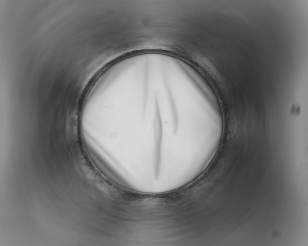 X0000112811268200909111251