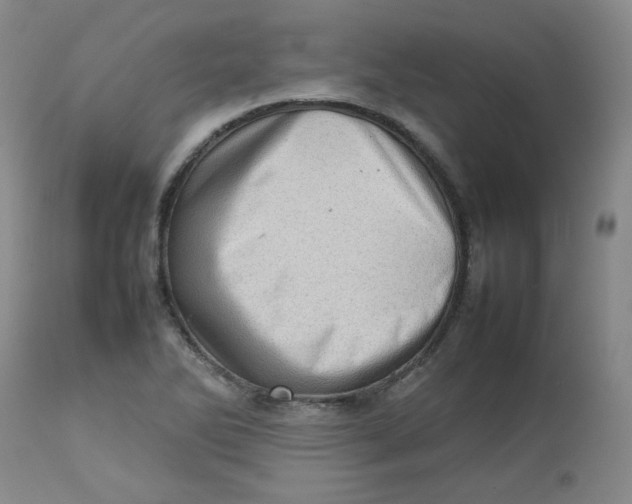 X0000112811270200909111251