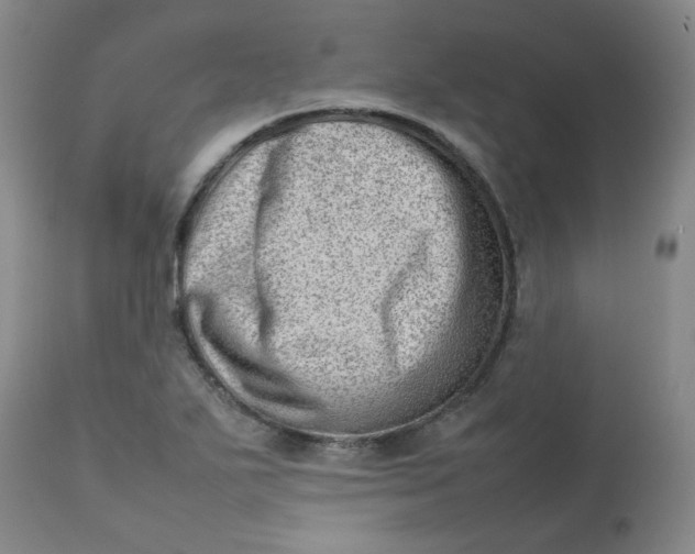 X0000112811271200909111251