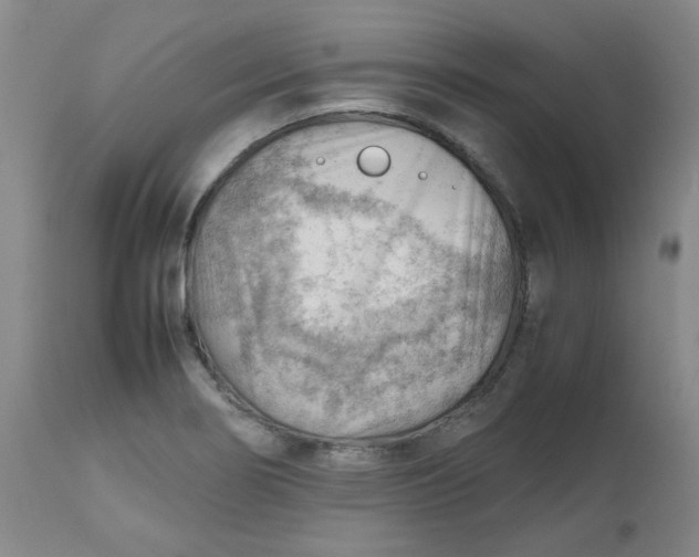 X0000112811274200909111251