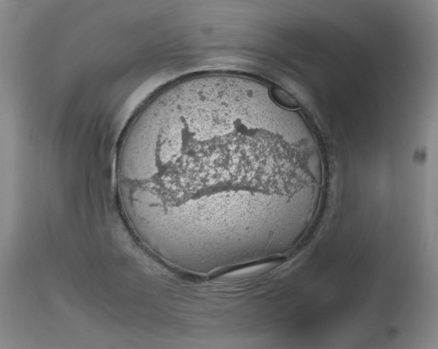 X0000112811275200909111251