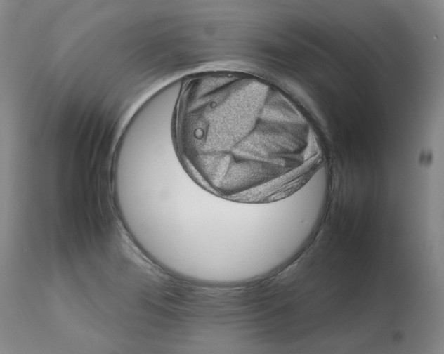 X0000112811276200909111251