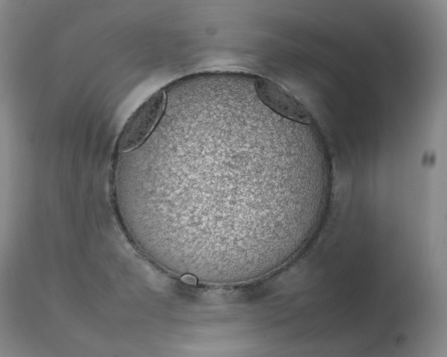 X0000112811277200909111251