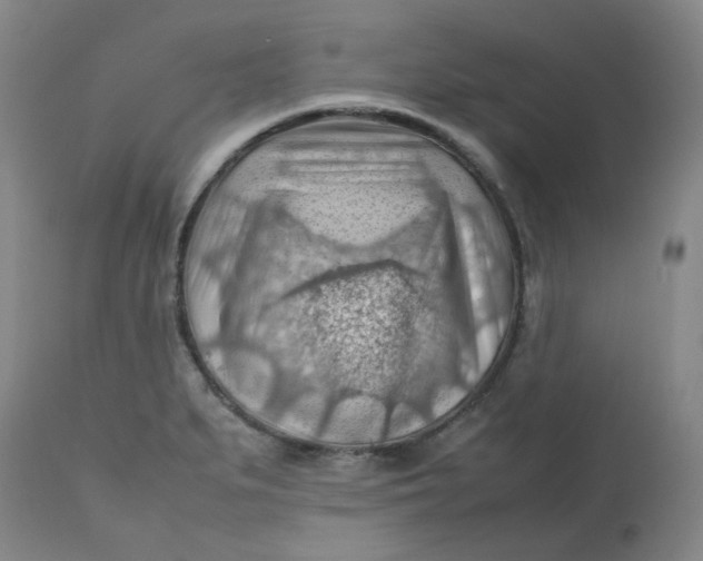 X0000112811279200909111250