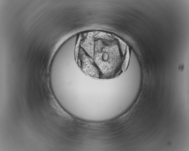 X0000112811280200909111250