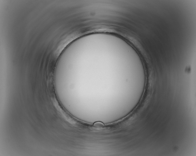 X0000112811281200909111250