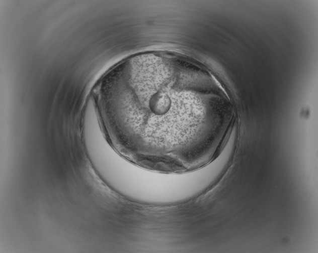 X0000112811284200909111250