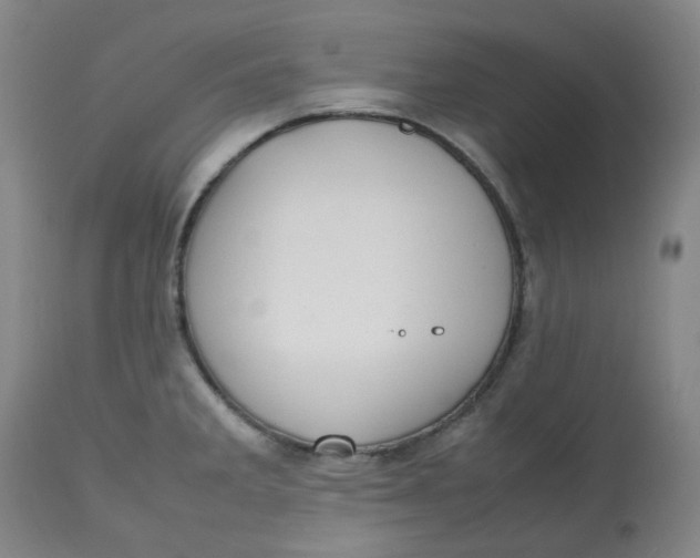 X0000112811285200909111250