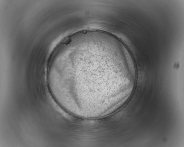 X0000112811286200909111250