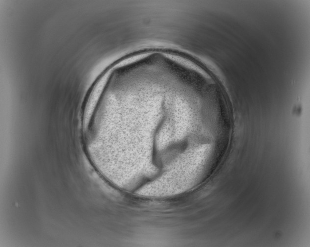 X0000112811287200909111250