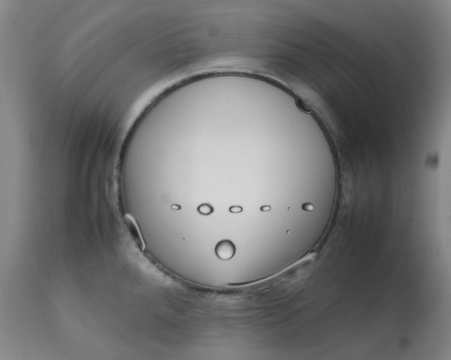 X0000112811288200909111250