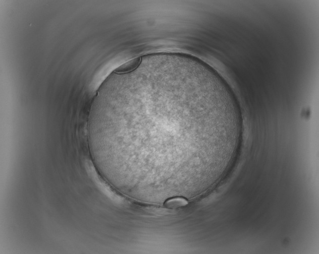 X0000112811289200909111250