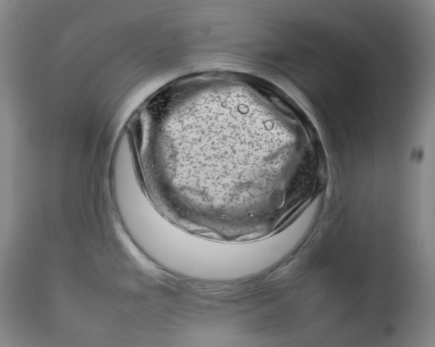 X0000112811293200909111250