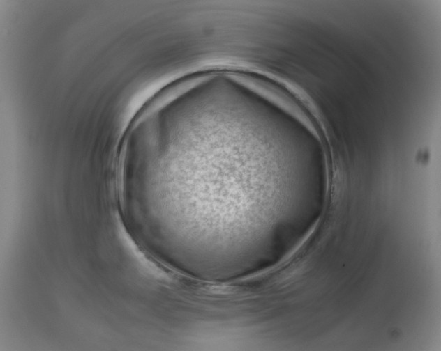 X0000112811295200909111250