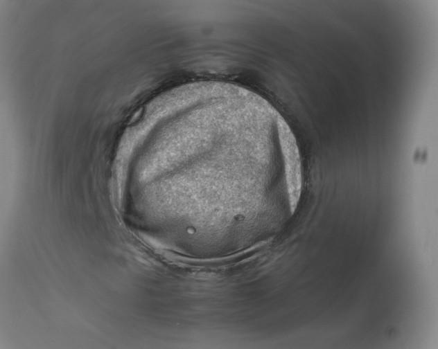 X0000112811297200909111250