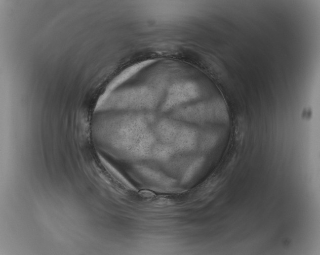 X0000112811298200909111250