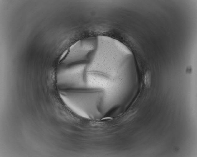 X0000112811299200909111250