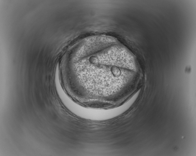 X0000112811300200909111250