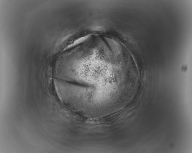 X0000112811301200909111250