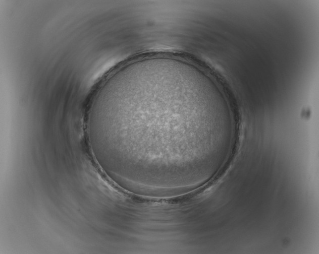 X0000112811306200909111250