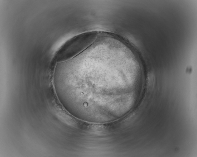 X0000112811310200909111250