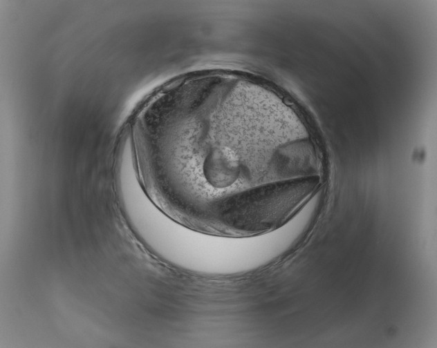 X0000112811312200909111250