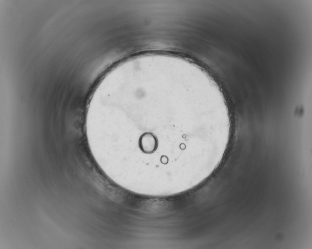 X0000112811314200909111250