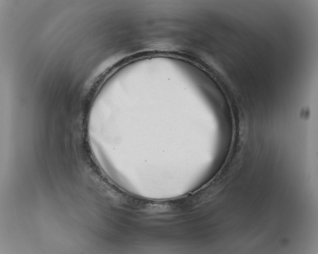 X0000112811315200909111250