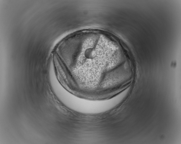 X0000112811316200909111250