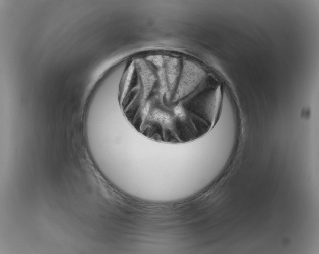 X0000112811320200909111250