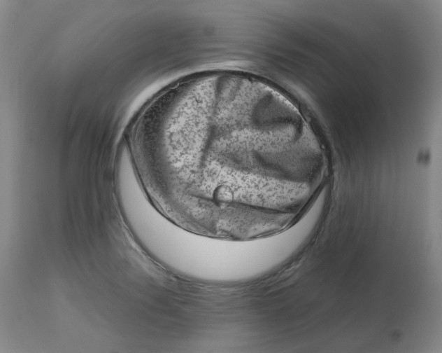 X0000112811324200909111250