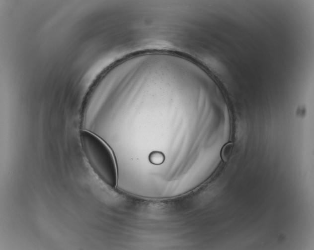 X0000112811326200909111250