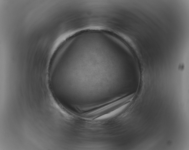 X0000112811327200909111250