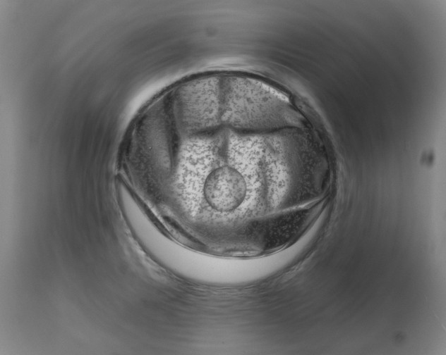 X0000112811328200909111250