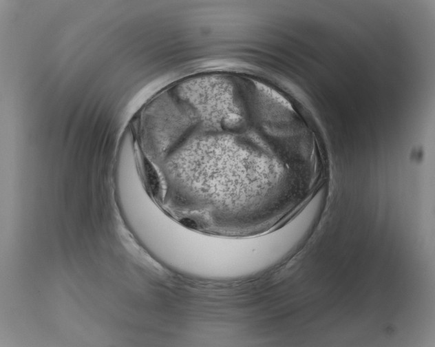 X0000112811330200909111250