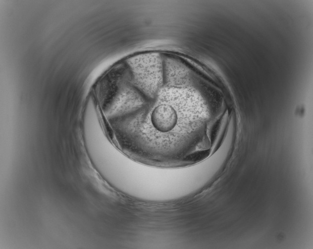 X0000112811336200909111250