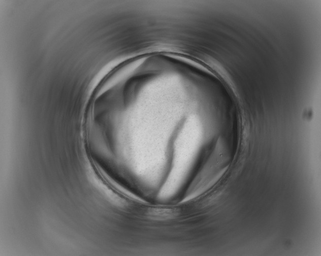 X0000112811339200909111250