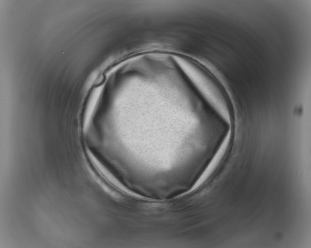 X0000112811341200909111250