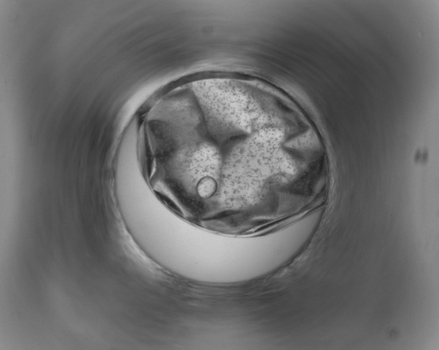 X0000112811344200909111250