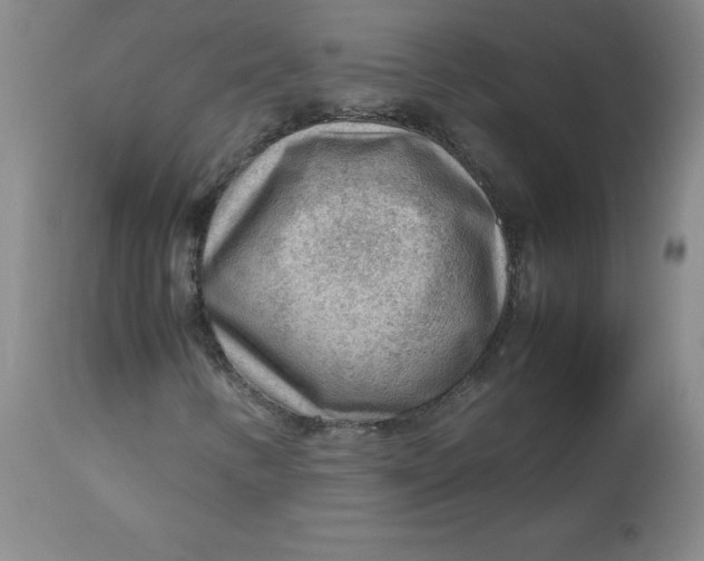 X0000112811346200909111250