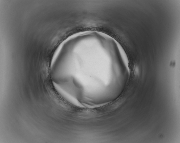 X0000112811348200909111250