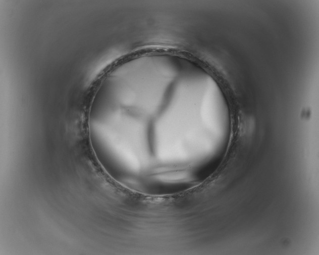 X0000112811352200909111249