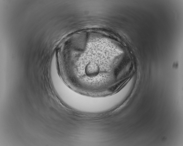 X0000112811353200909111249